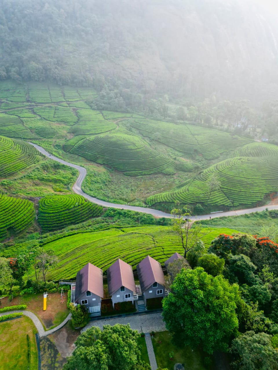 Munnar Highlands photo 2